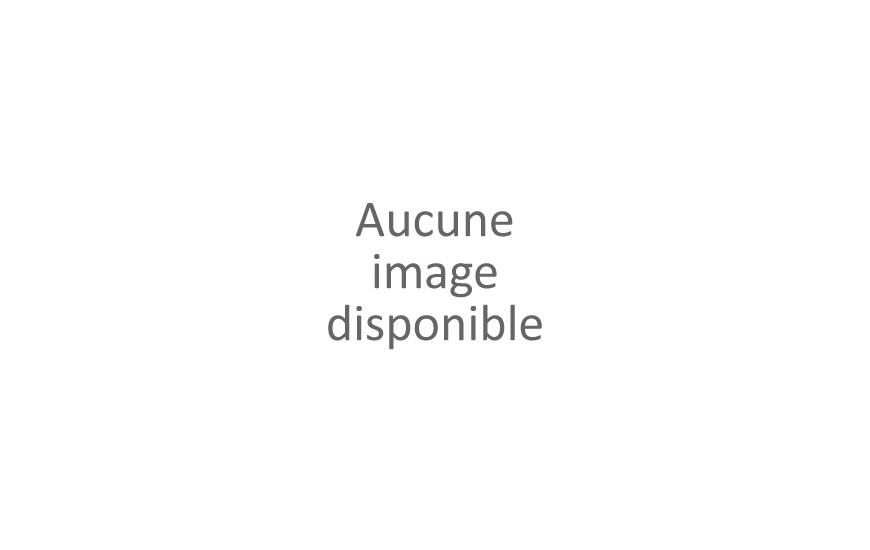 Fichiers sons